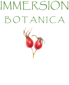 Immersion Botanica