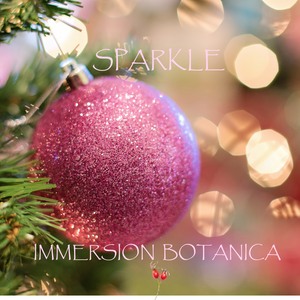 Sparkle This Holiday Season!
